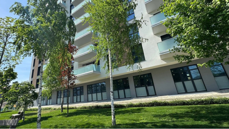 Spațiu Comercial Premium Nufărul